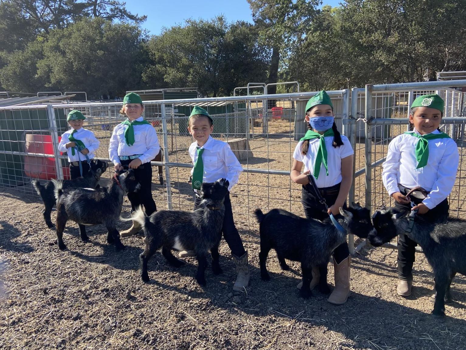 Napa Ag 4 Youth